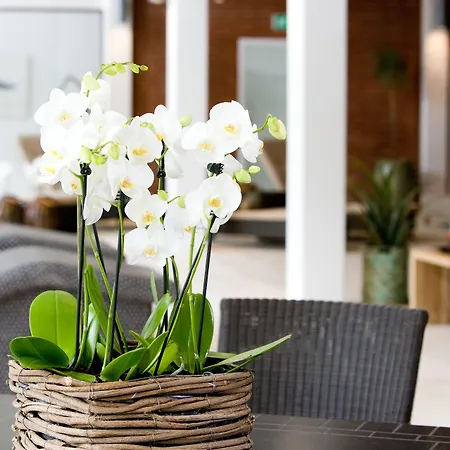 Hotel Hesselet Nyborg