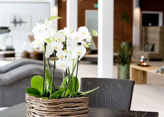 酒店 海瑟利特酒店 尼堡