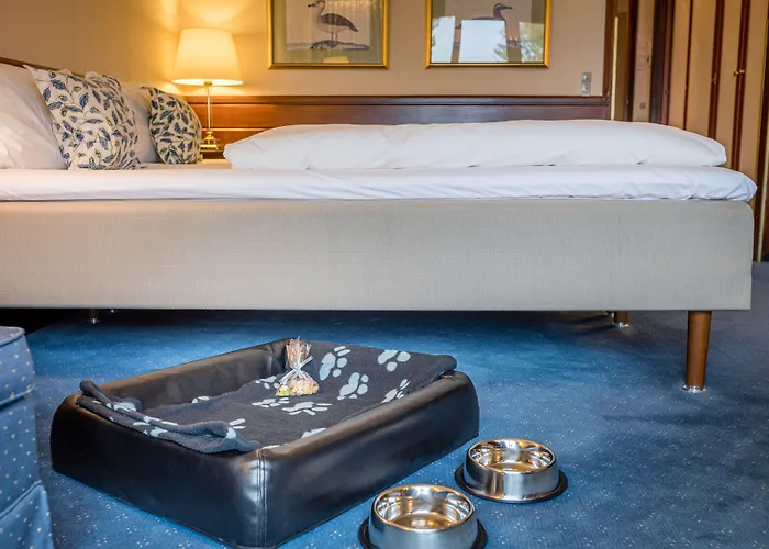 海瑟利特酒店 酒店 4*