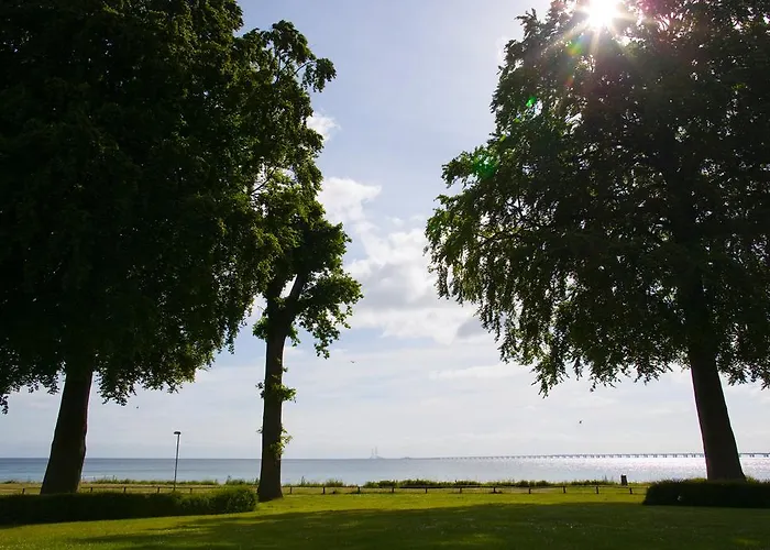 海瑟利特酒店 4* 尼堡